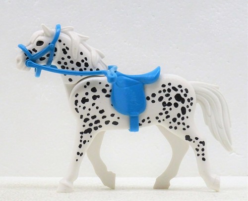 Pferd weiss schwarz schimmel - weiss,