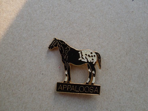 Appaloosa pferde pin - pferde,