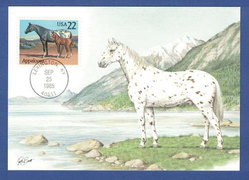 Maximumkarte usa 1985 pferde - usa,