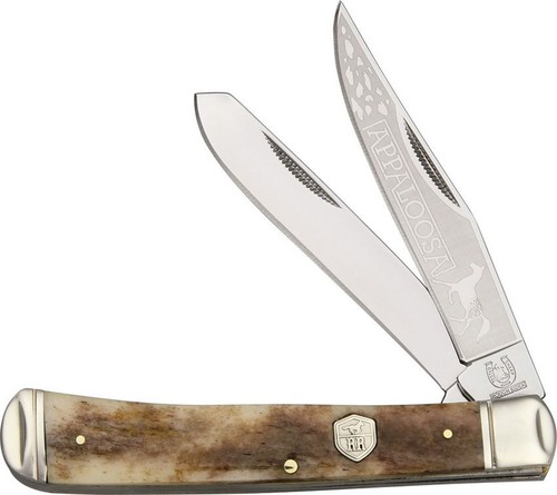 Rough ryder pferd - pferd, appaloosa